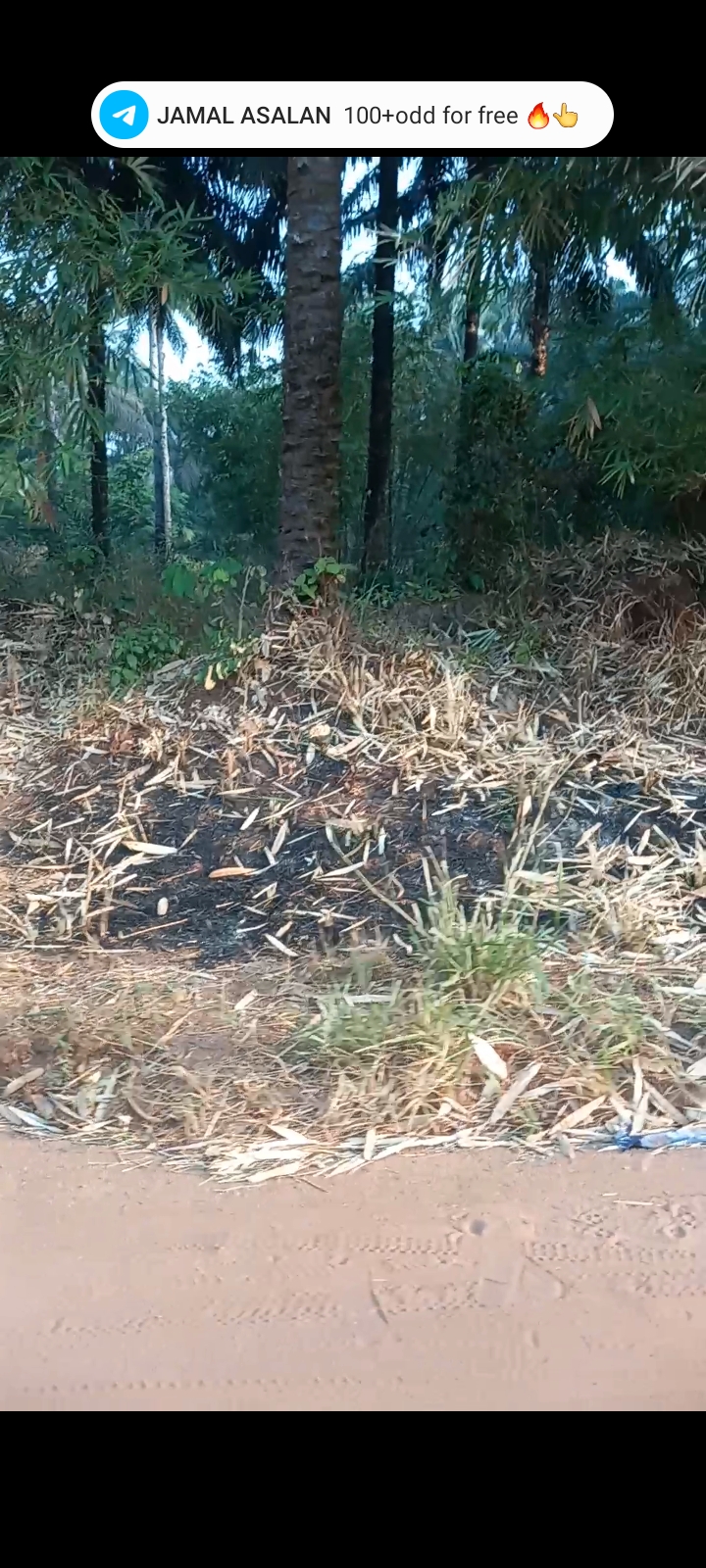 2 plots of land for sale in nkume