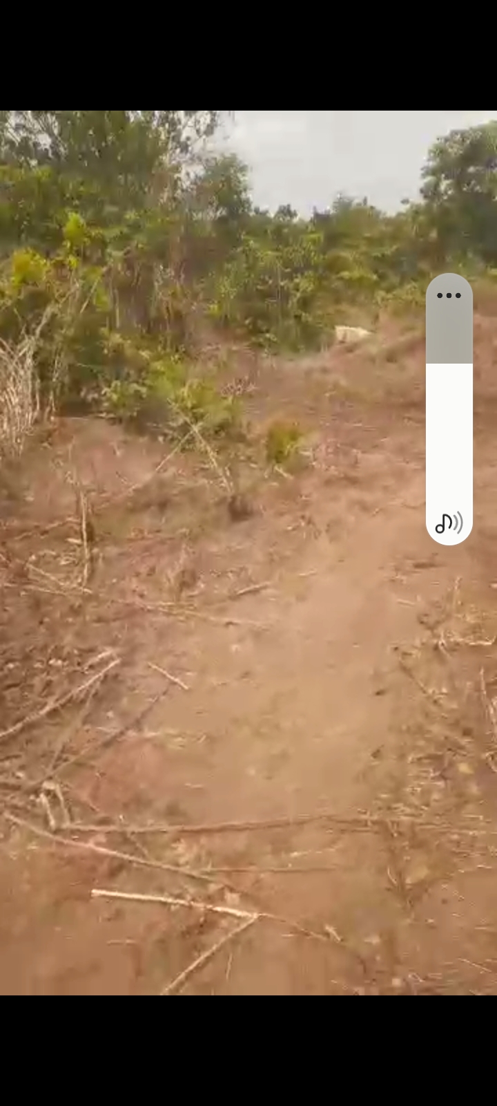 One plot of land for sale in Owerri